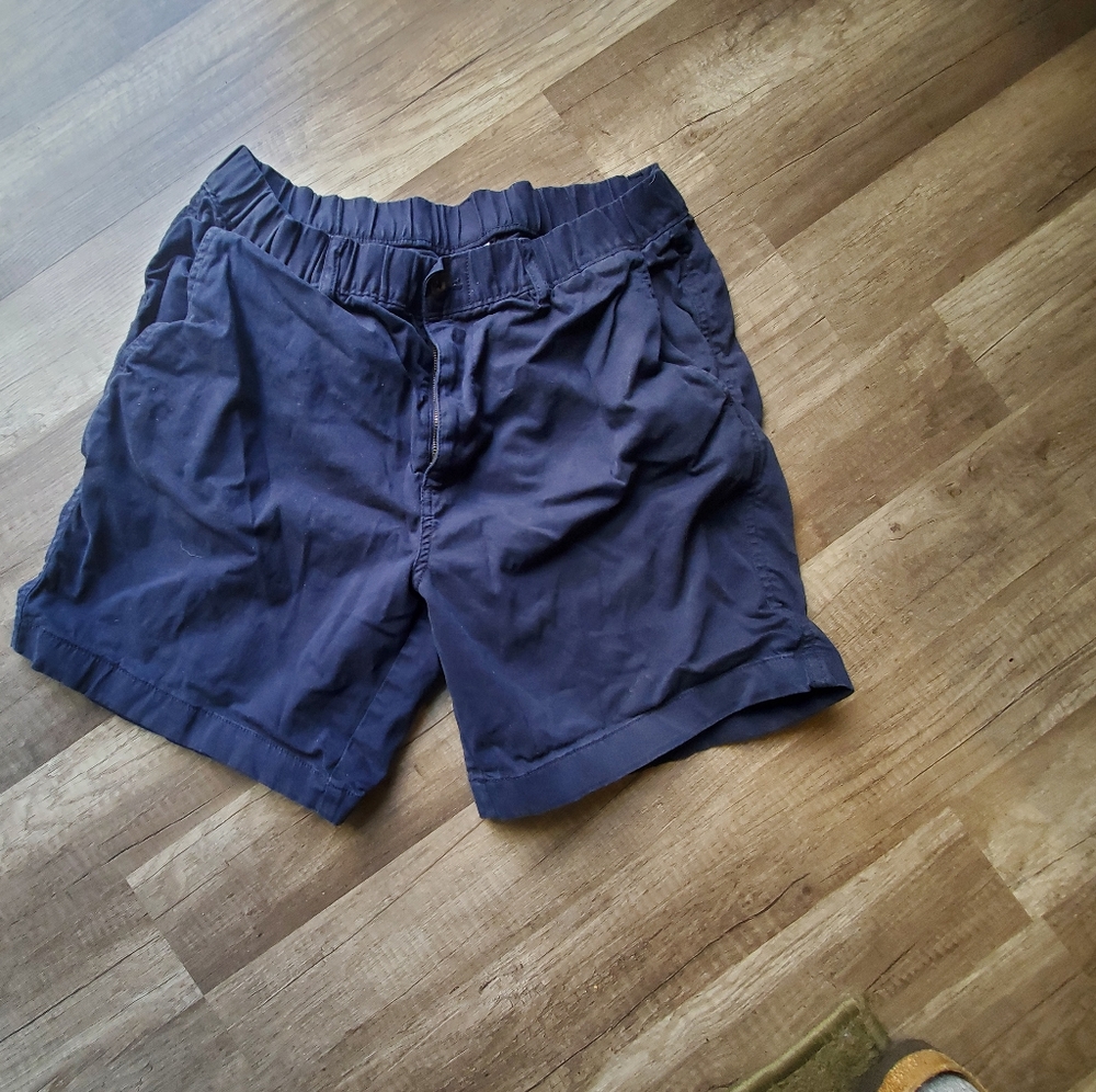 Men's Bear Bottom blue shorts